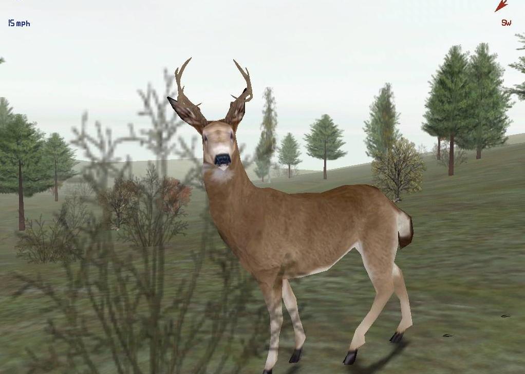 deer hunter 1997 pc